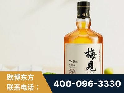 霍州-梅见青梅酒